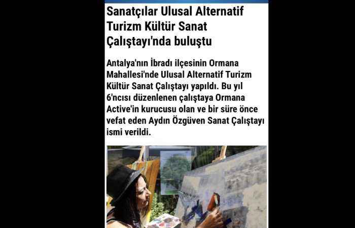 Özge Gökbulut Özdemir, Sanat